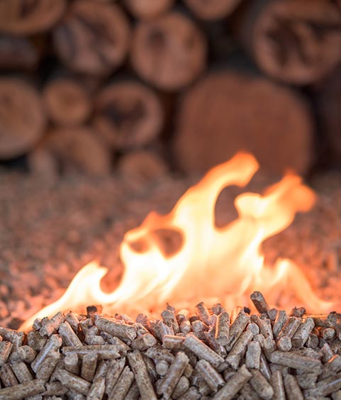 Coniferous wood pellets in flames.